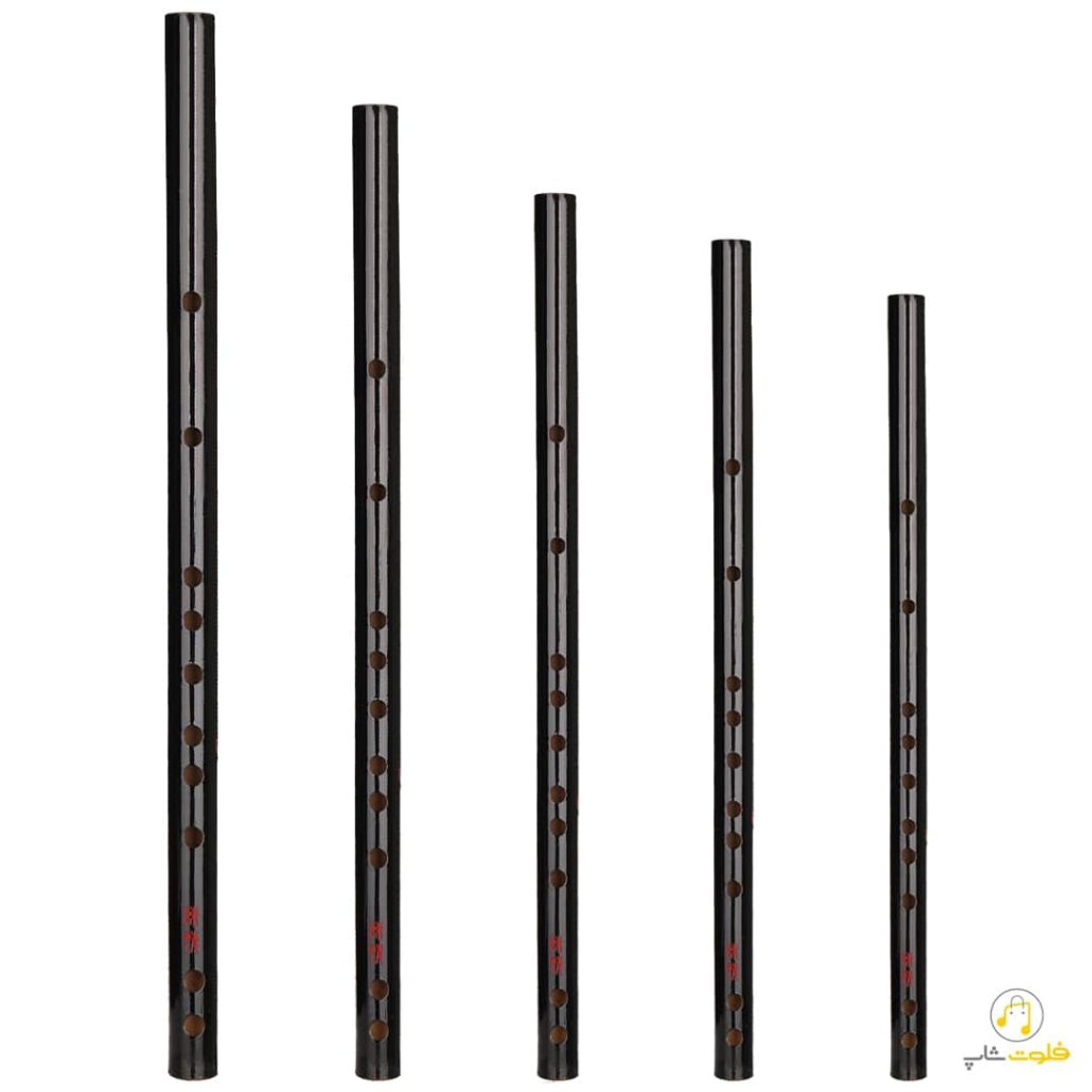 دیزی فلوت فلوت شاپ